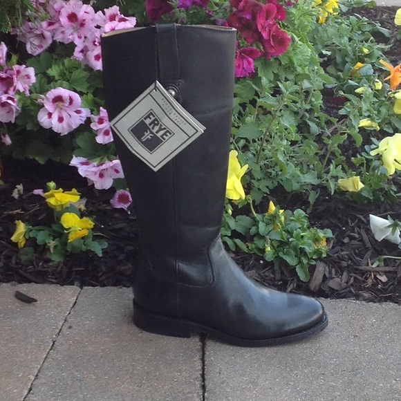 Frye Jayden Button Tall